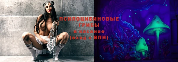 гидра Новокубанск