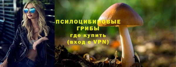 мескалин Новозыбков