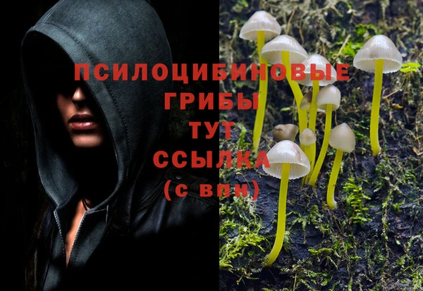 мескалин Новозыбков