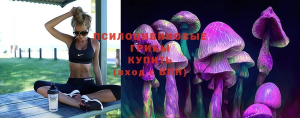 мескалин Новозыбков