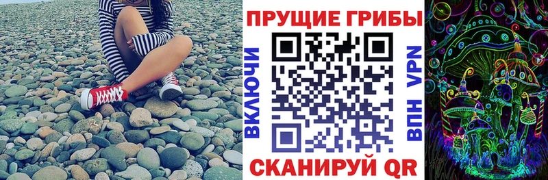 магазин    Кущёвская  Галлюциногенные грибы мицелий 